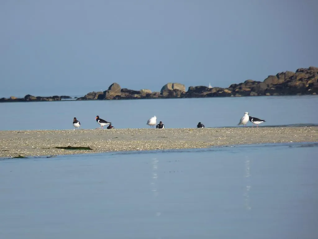 Chambre D'Hotes De La Grande Greve Roscoff